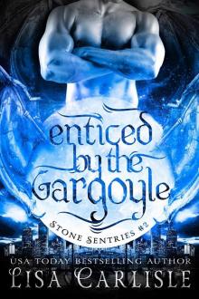 Enticed by the Gargoyle: Stone Sentries 2 (Boston)