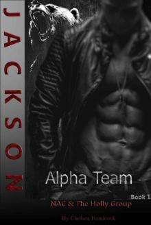 Jackson: NAC & The Holly Group (Alpha Team Book 1)