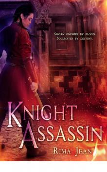 Knight Assassin (9781622664573)