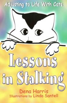 Lessons In Stalking: Adjusting to Life With Cats