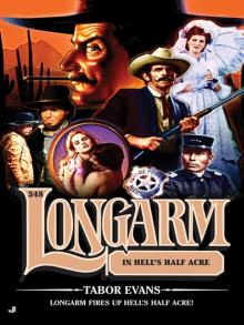 Longarm in Hell's Half Acre