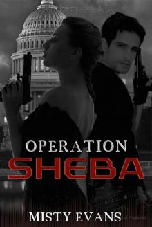 Operation Sheba