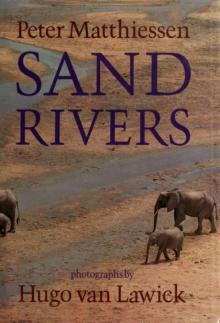 Sand rivers