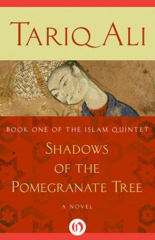 Shadows of the Pomegranate Tree