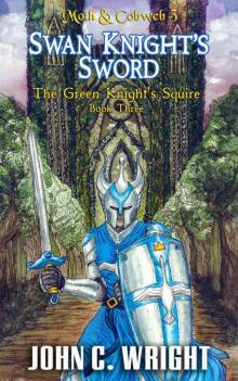 Swan Knight's Sword (Moth & Cobweb Book 3)