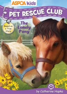 The Lonely Pony