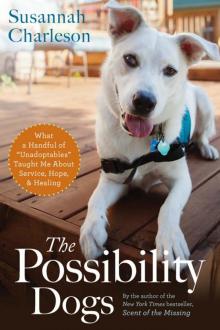 The Possibility Dogs