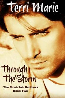 Through the Storm (The Montclair Brothers)