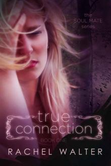 True Connection (The Soul Mate Series)