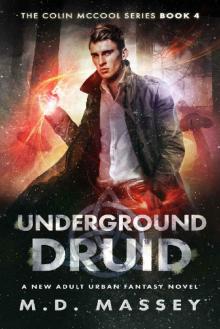 Underground Druid_A New Adult Urban Fantasy Novel