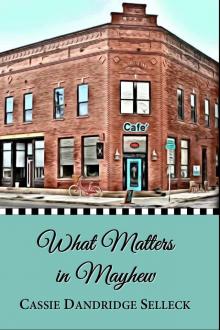 What Matters in Mayhew (The Beanie Bradsher Series Book 1)