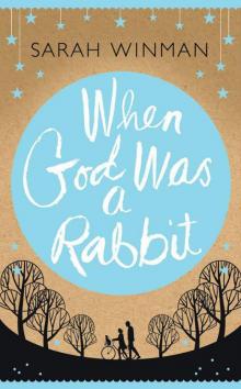 When God Was a Rabbit