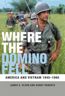 Where the Domino Fell: America and Vietnam 1945-1995