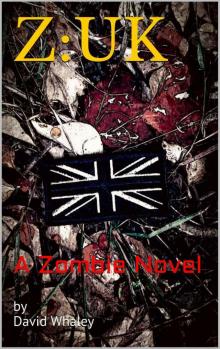 Z: UK (A Zombie Novel)