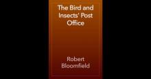 Bird and Insects' Post Office