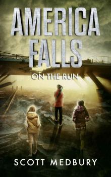 America Falls (Book 2): On The Run