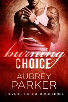 Burning Choice (Trevor's Harem #3)