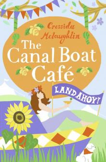 Canal Boat Cafe (4) - Land Ahoy