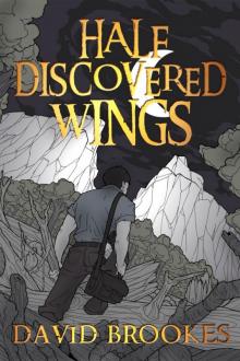 Half Discovered Wings