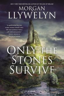 Only the Stones Survive: A Novel