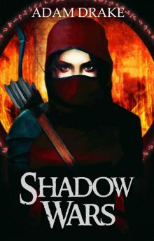 Shadow Wars: LitRPG (Shadow For Hire)