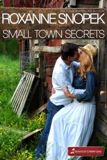 Small Town Secrets