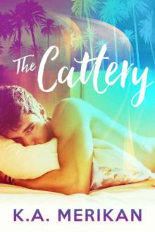 The Cattery (M/M contemporary sweet kinky romance)