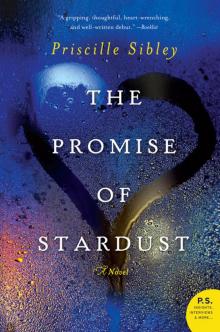 The Promise of Stardust