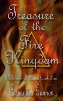 Treasure of the Fire Kingdom (The Elemental Phases Book 4)