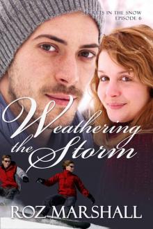 Weathering the Storm: Secrets in the Snow, # 6