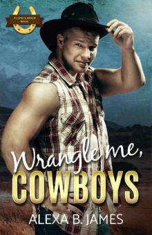 Wrangle Me, Cowboys_A Reverse Harem Forbidden Romance