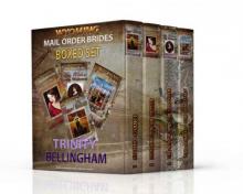 Wyoming Mail Order Brides Boxed Set 1- 4