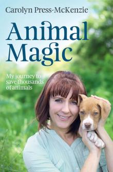 Animal Magic