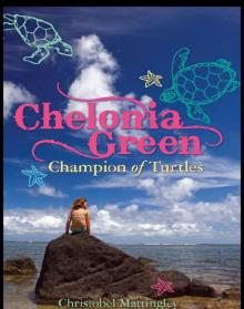 Chelonia Green, Champion of Turtles