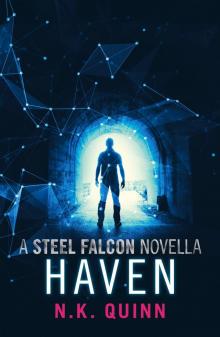 Haven - a Steel Falcon Novella