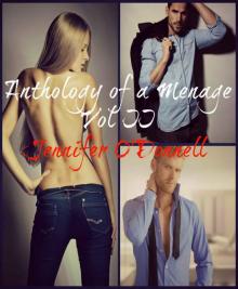 Our First Time: Anthology of a Menage Book 2