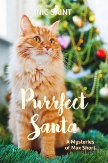 Purrfect Santa