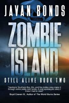 Still Alive (Book 2): Zombie Island