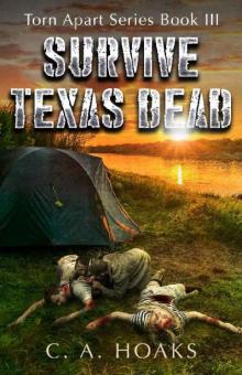 Survive Texas Dead