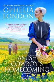 The Amish Cowboy's Homecoming