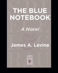 The Blue Notebook