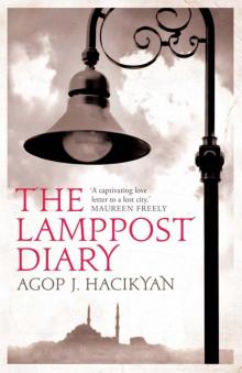 The Lamppost Diary