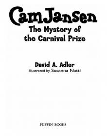 The Mystery of the Carnival Prize