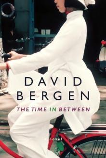 The Time in Between (David Bergen)