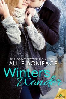 Winter's Wonder: Pine Point, Book 2