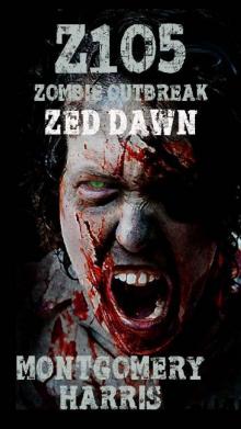 Zombie Outbreak Z1O5 (Book 2): Zed Dawn