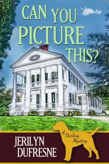 Can You Picture This? (Sam Darling Mystery #3)