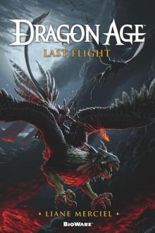 Dragon Age: Last Flight