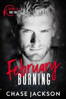 February Burning: A Firefighter Secret Baby Romance