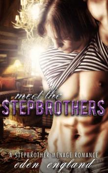 Meet The Stepbrothers: A STEPBROTHER MENAGE ROMANCE